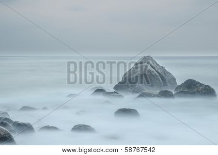 Cobweb Morning In Mirissa