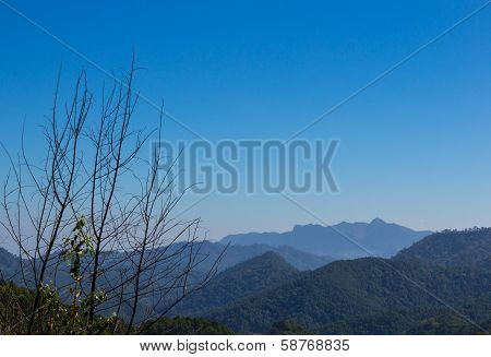 Landscape Mountain View At Chaing Dao, Thailand