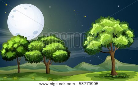 Illustration of a clean and green forest under the bright fullmoon