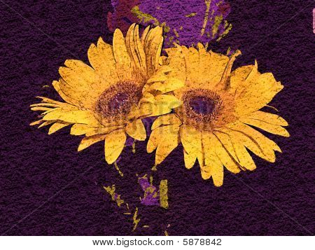 2 つの花