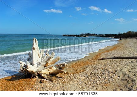 Perspective Seashore