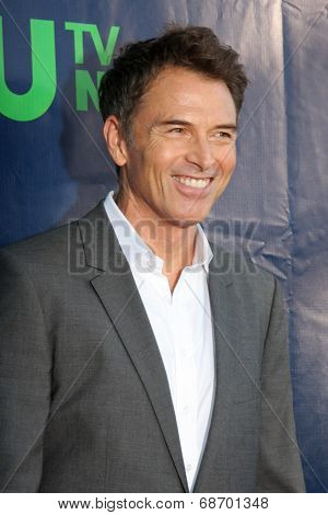 LOS ANGELES - JUL 17:  Tim Daly at the CBS TCA July 2014 Party at the Pacific Design Center on July 17, 2014 in West Hollywood, CA