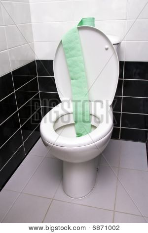Carta igienica e tazza WC