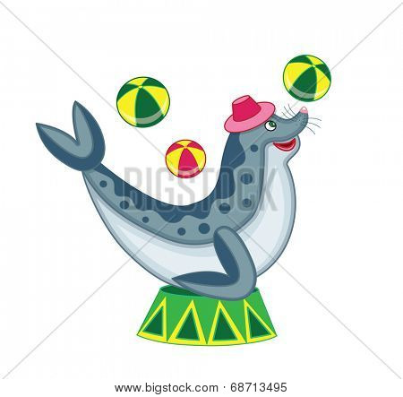circus sea lion (vector illustration)