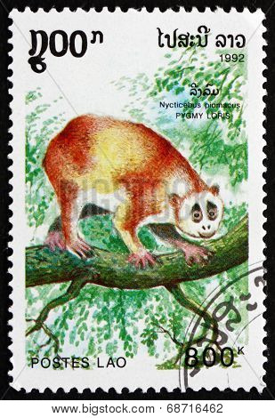 Postage Stamp Laos 1992 Pygmy Loris, Primate
