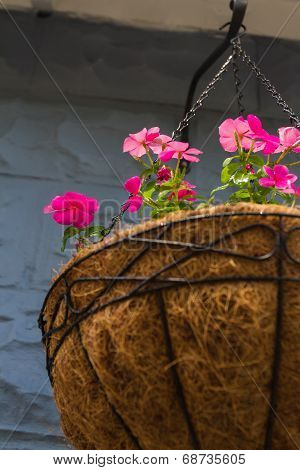Hanging Flower Pot