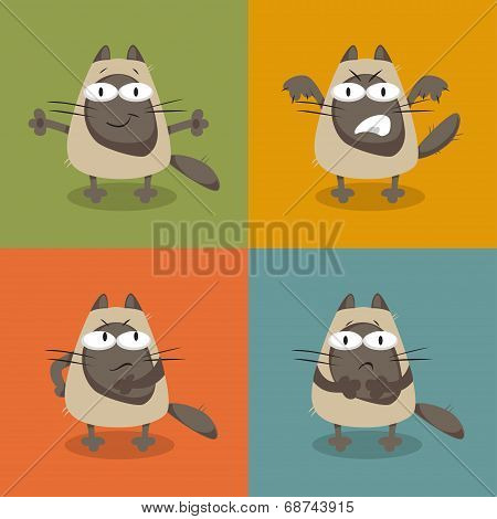 collection of cats