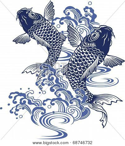carp and water