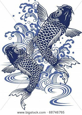 carp and water