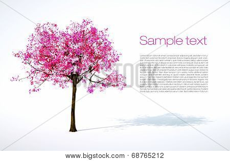 3D Render Illustration Of Isolated Spring Tree With Text