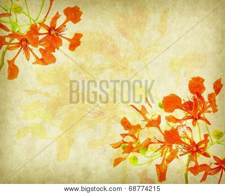 Peacock flowers on tree with Old antique vintage paper background