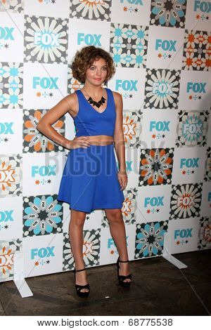 LOS ANGELES - JUL 20:  Camren Bicondova at the FOX TCA July 2014 Party at the Soho House on July 20, 2014 in West Hollywood, CA