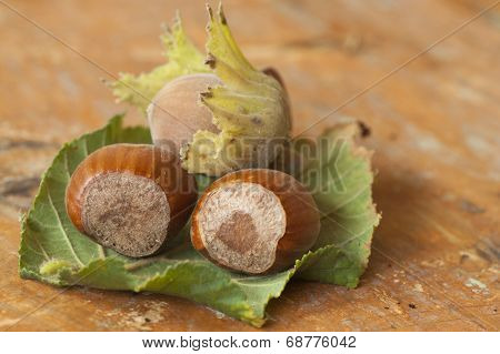 Hazelnuts fruits on wooden table top