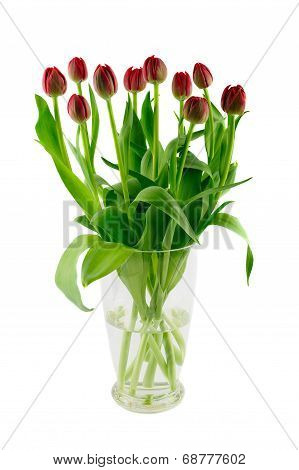 Glass Vase With Red Tulips