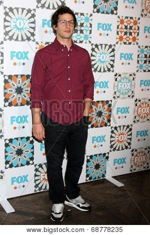LOS ANGELES - JUL 20:  Andy Samberg at the FOX TCA July 2014 Party at the Soho House on July 20, 2014 in West Hollywood, CA