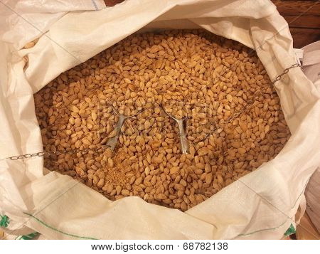 Almond nuts
