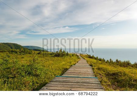 Skyline Trail Boardwalk