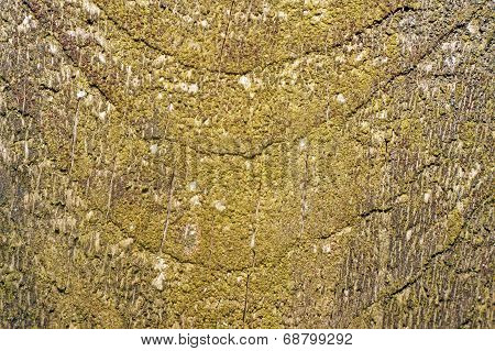 Texture Of Old Wood With Remnants Of Yellow Paint Closeup As Background