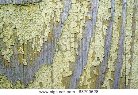 Texture Of Old Wood With Remnants Of Yellow Paint Closeup As Background