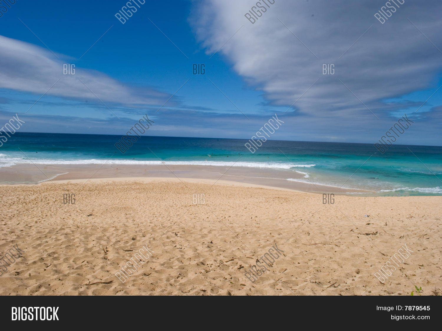Image Preview