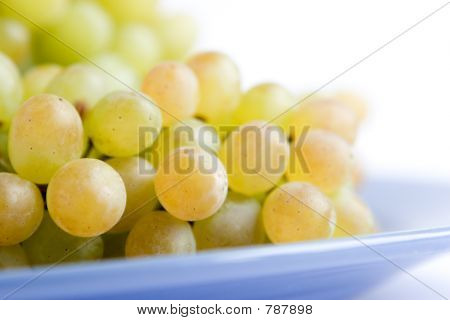 Raisin vert
