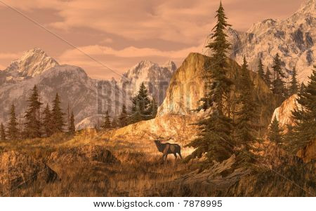 Alce nelle montagne rocciose