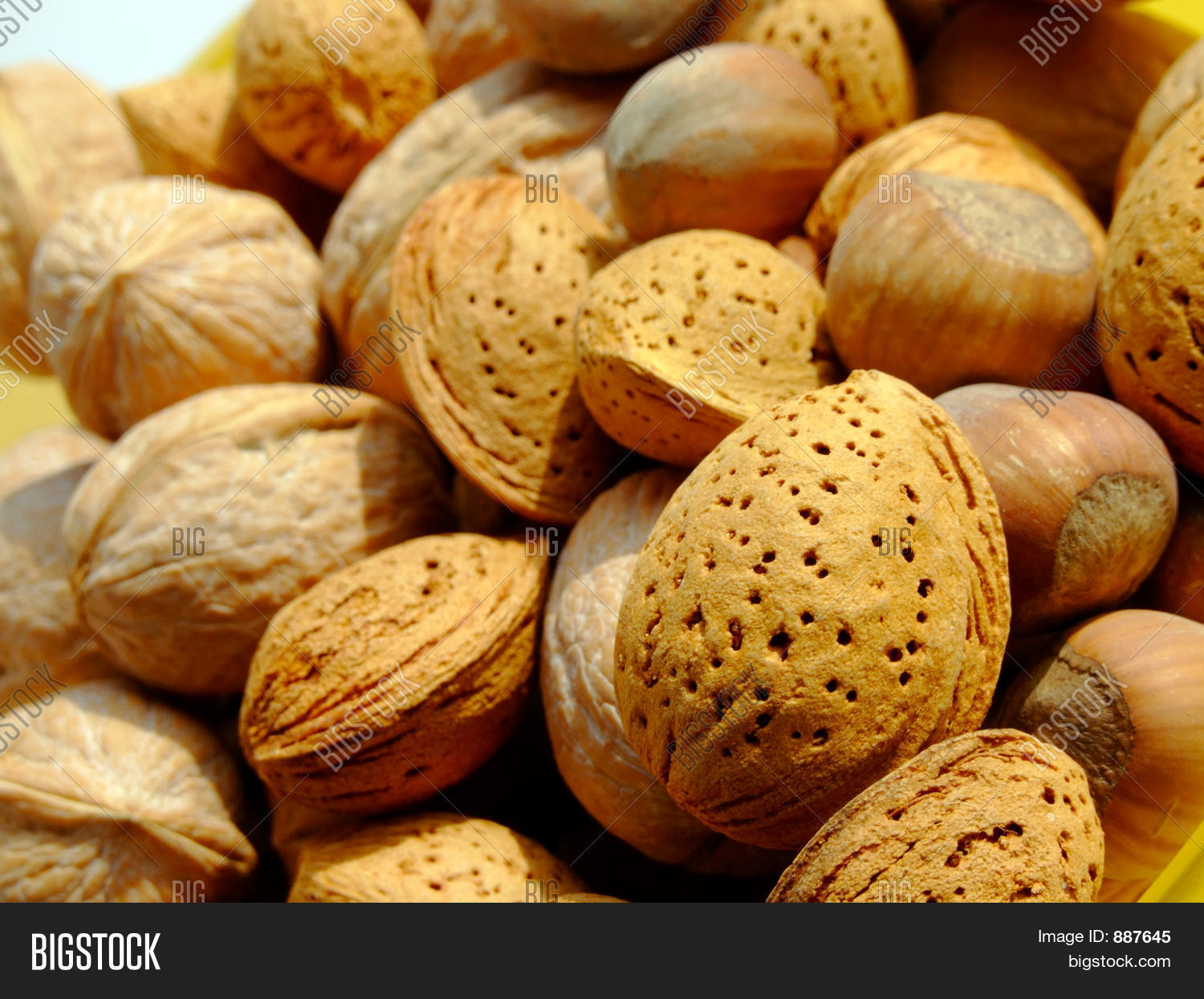Image Preview