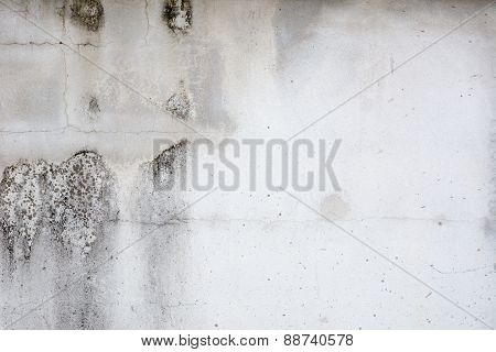 Background of brick wall texture