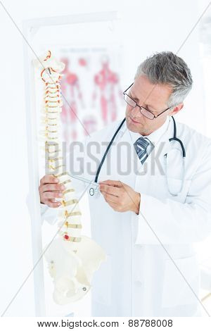 Doctor showing anatomical spine with his pen in clinc