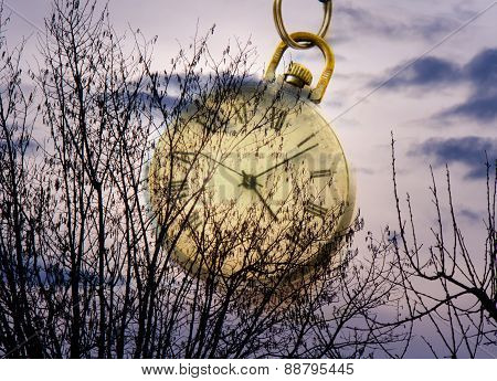 Sky And Watch