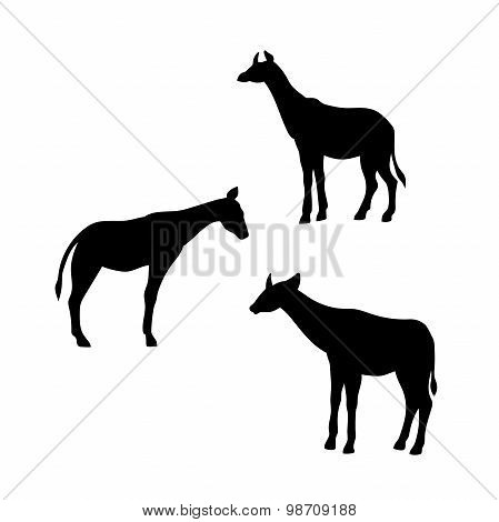 Okapi vector silhouettes.