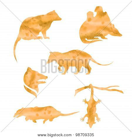Vector watercolor silhouettes of a opossum.