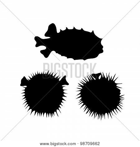 Fish hedgehog vector silhouettes.