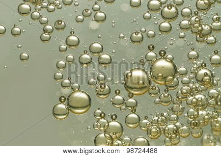 Fizz