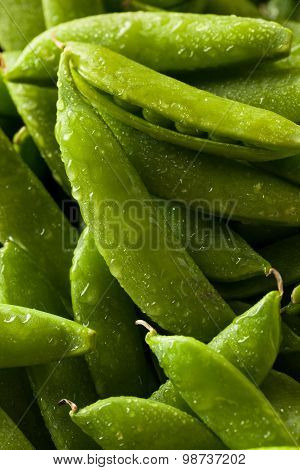 Organic Green Sugar Snap Peas