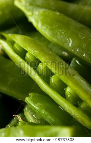 Organic Green Sugar Snap Peas