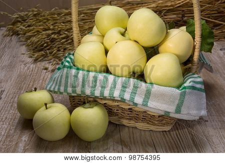 Apples Varieties Of Papirovka In The Basket