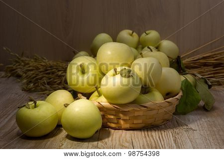 Apples Varieties Of Papirovka In The Basket