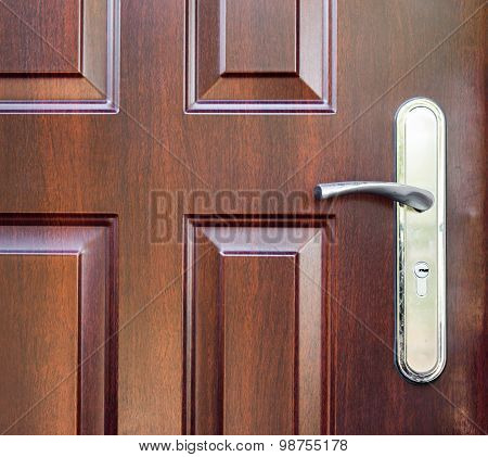 Modern wooden door with a door handle