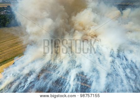 Fire On The Field