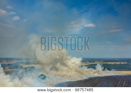 Fire On The Field