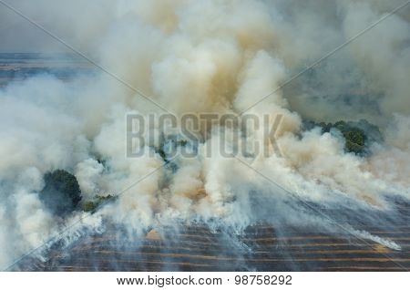 Fire On The Field