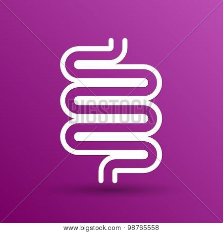 Flat modern design with shadow icons large intestine