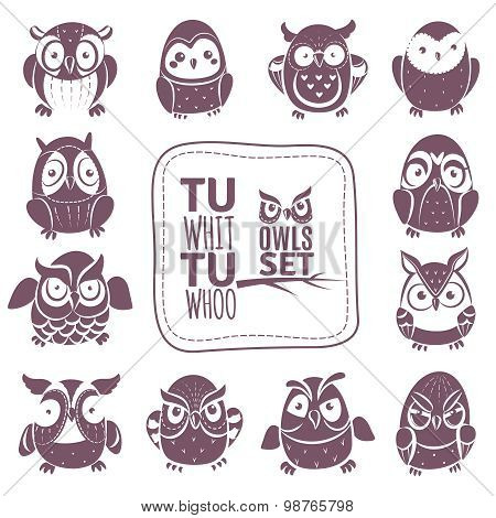 Vector Owls Set