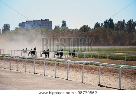 Horse race