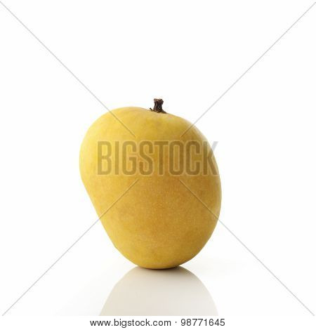Golden Yellow Alphonso Mango on White Background shot in studio
