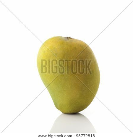 Green Alphonso Mango on White Background shot in studio