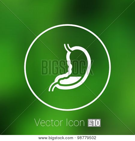 Human stomach icon human cross intestinal