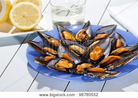 Mussels Steamed