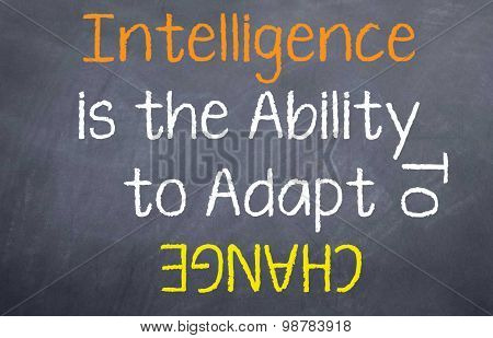 Intelligence is the Ability to Adapt
